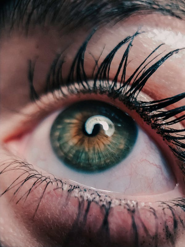 Macro Fotografía de Ojo de Mujer